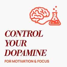 The Dopamine Dilemma: Controlling Your Brain's Motivation Chemical book cover